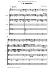 Stanza. Transcription for tenor and chamber orchestra